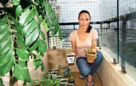Stanford alumna Serafina Auster Singapuri displays potted plants from her urban garden.