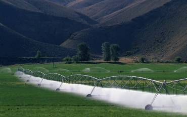 Crop irrigation 
