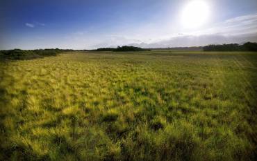 sun shines on U.S. grasslands