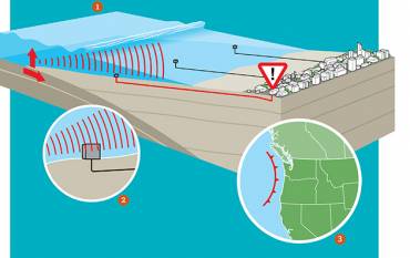 tsunami warning infographic