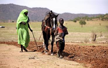 A woman and a boy plow a field using a horse