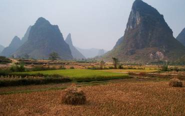 Wheat field in China 