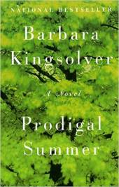 Prodical Summer book cover