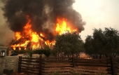 House burning in Northern California.