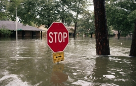 The Meyerland area of Houston on Sunday in the wake of Hurricane Harvey.