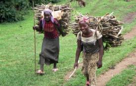 Local girls bringing back firewood near Jinka, Southern Ethiopia.