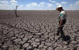 Man standing on drought affected land 