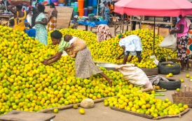 African women collect fruits at market.