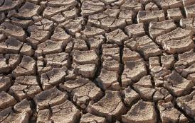 Dry, cracked earth 