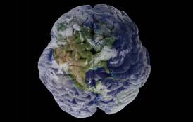 The Earth re-imaged as a human brain 