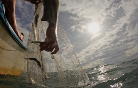 Fishing net in water