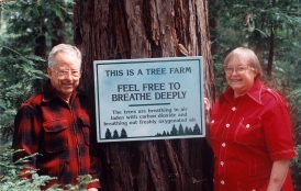 George and Anita Thompson next to a coastal redwood