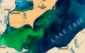 Image of a algal bloom on Lake Erie 