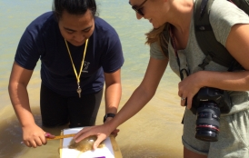 Shannon Switzer Swanson doing fieldwork  in Tonga