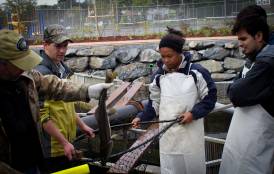 Earth Science grad students at an Alaskan fish hatchery