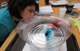 High school teacher Monica Sircar watches a model convection system in a bowl of water