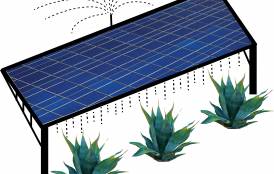 Solar farm illustration.