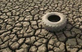 Tire over dry, cracked earth 