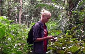 Elsa Ordway in Cameroon's rainforest 