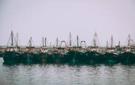 boats docked at Chinese fishing port