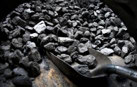 A shovel with lumps of coal 