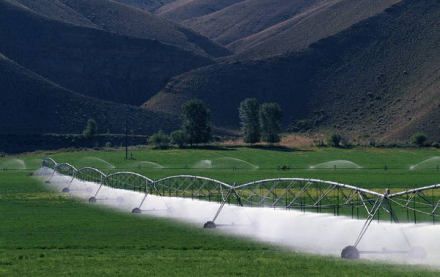 Crop irrigation 