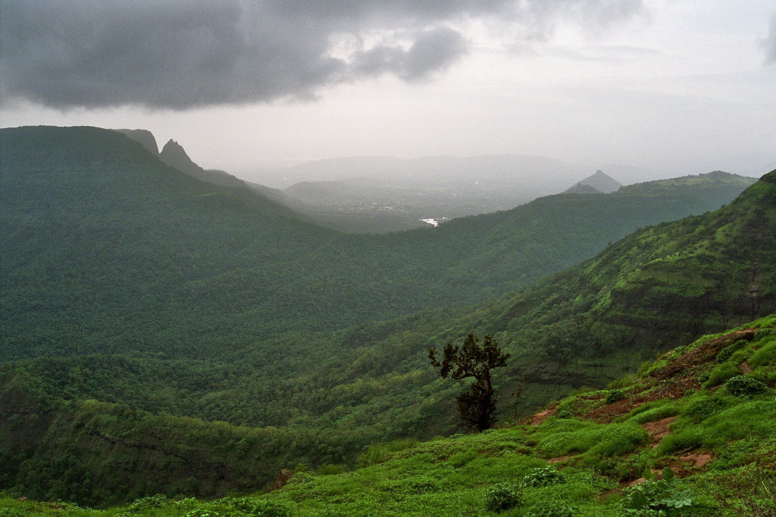 changing-rainfall-patterns-in-south-asian-monsoons-school-of-earth