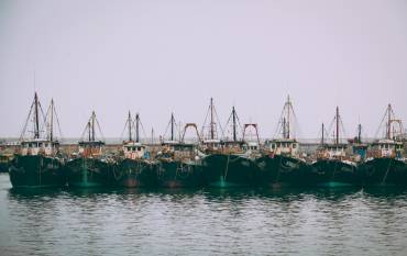 boats docked at Chinese fishing port