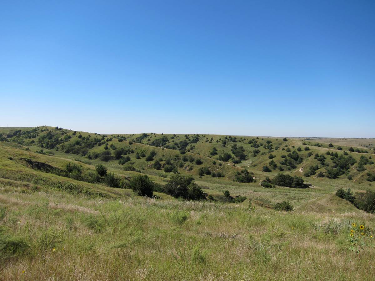 Increase in grasslands may have produced profound changes in climate ...