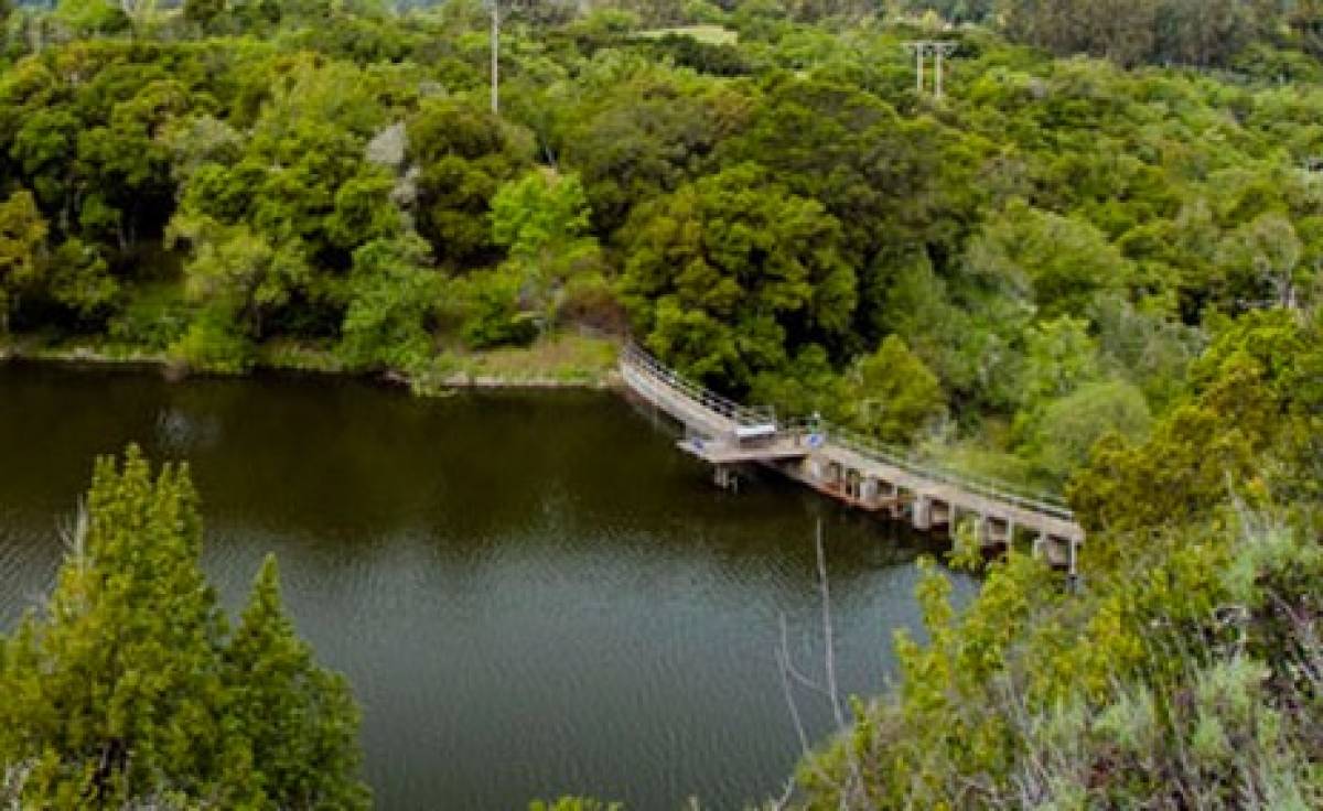 The future of Searsville Dam Stanford School of Earth, Energy