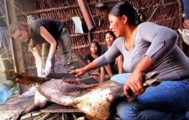 Women carving dead animal