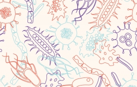 bacteria drawings