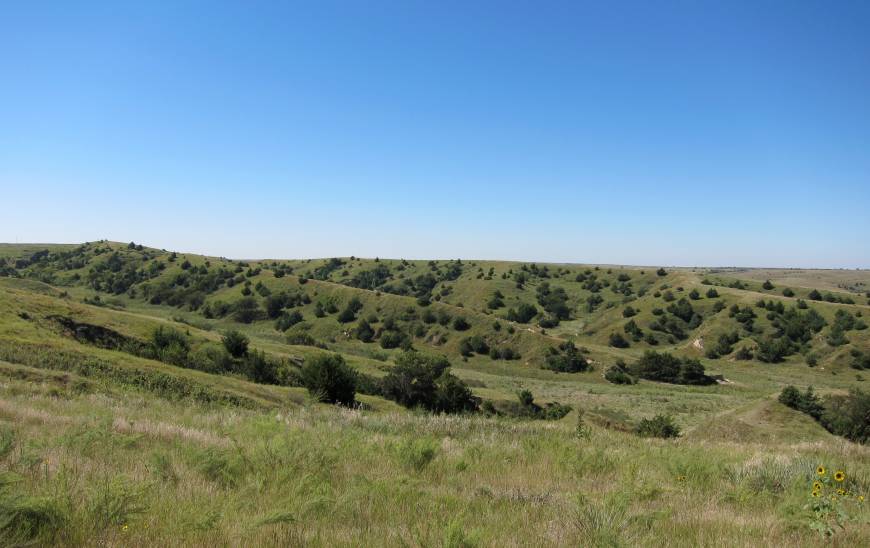 Increase in grasslands may have produced profound changes in climate ...