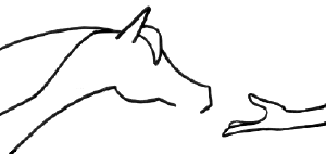 Yes I hugged my horse today